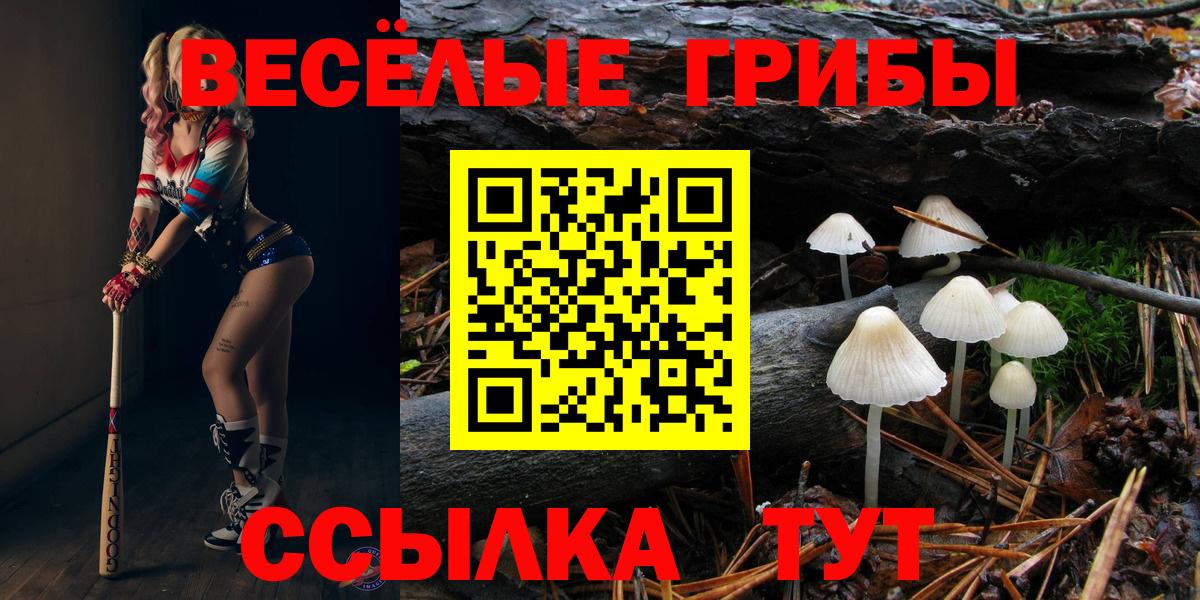 Галлюциногенные грибы Psilocybe Кимры